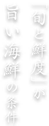 旬と鮮度が旨い海鮮の条件